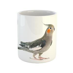 ماگ(قاشق و جعبه رایگان)  طوطی  عروس هلندی