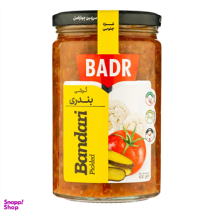 ترشی بندری بدر وزن ۶۳۰ گرم