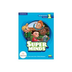 فلش کارت Super Minds 1 2nd Flashcards