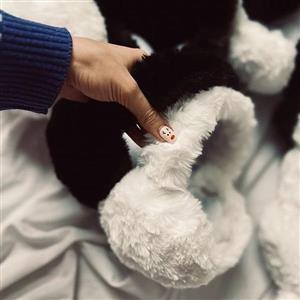 گوشگیر خز تاشو