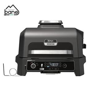 گریل باربیکیو برقی نینجا مدل OG850