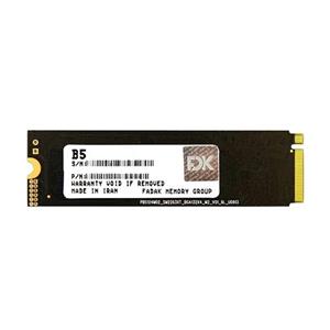حافظه اس اس دی فدک مدل B5 SEREIS 256GB M.2