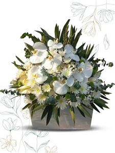 باکس گل ارکیده و داودی