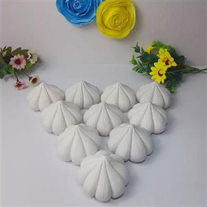 پک 10 عددی سیر خام هفت سین -سیرهفت سین عید(مناسب رنگ امیزی و قالب گیری)