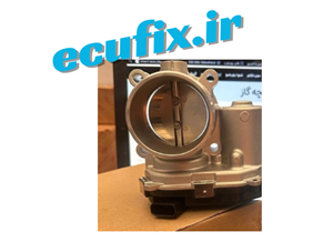 دریچه گاز دیگنیتی