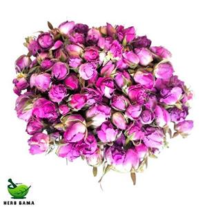 غنچه گل محمدی لاله زار کرمان
