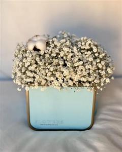 چطور از گل ژیپسوفیلیا (عروس) برای سبد گل تولد استفاده کنیم؟