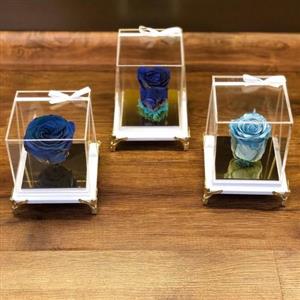 چطور گل رز جاودان را برای جشن سالگرد دوستی خریداری کنم؟
