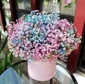 چطور از گل ژیپسوفیلیا (عروس) برای جشن سالگرد استفاده کنیم؟