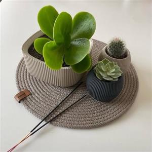 چطور گلدان و گیاه طبیعی را برای روز معلم به معلم محترم هدیه دهیم؟