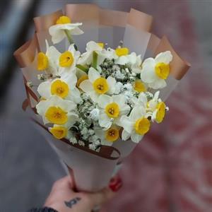 گل نرگس و گل‌های آنتوریوم برای روز پدر 261