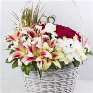 گلفروشی خیابان بهار شیراز تهران 561