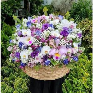 گل فروشی در منطقه 2 کرج 396