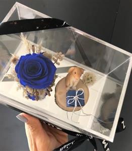 آیا گل رز جاودان برای کادو به دختر مناسب است؟