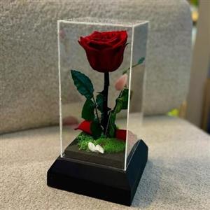 چطور گل رز جاودان را برای جشن فارغ‌التحصیلی سفارش دهم؟