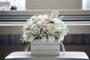 خرید گل برای تبریک گواهینامه رانندگی