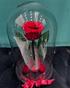 گل رز جاودان برای کادو سالگرد ازدواج مناسب است؟