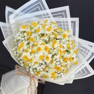 قیمت گل نرگس شاخه بریده در تهران برای سبد گل چقدر است؟