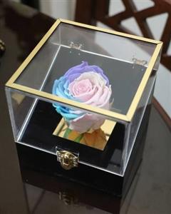 گل رز جاودان برای هدیه به دختر چه ویژگی‌هایی دارد؟