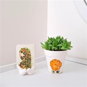 چطور گلدان و گیاه طبیعی برای روز مرد به همسر هدیه دهیم؟