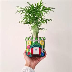 چطور گلدان و گیاه طبیعی را برای روز داروساز به داروساز ارسال کنیم؟