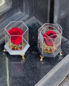 آیا می‌توان از گل رز جاودان برای کادو عذرخواهی استفاده کرد؟