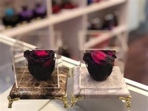 آیا می‌توان گل رز جاودان را برای کادو عذرخواهی از دوست سفارش داد؟