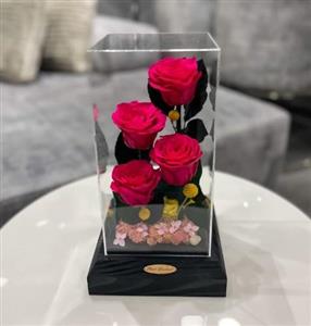 گل رز جاودان برای عذرخواهی مناسب است؟