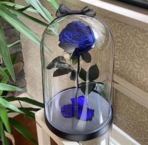 گل رز جاودان برای هدیه به همکار چه ویژگی‌هایی دارد؟