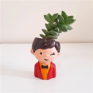چطور از فروشگاه آنلاین فیکوس لیراتا را برای منزل خود سفارش دهیم؟
