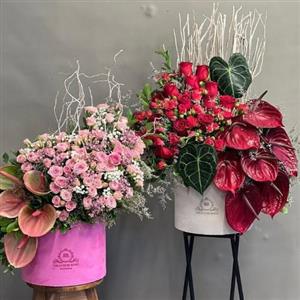 از کجا می‌توانم گل ولنتاین برای عشقم تهیه کنم؟