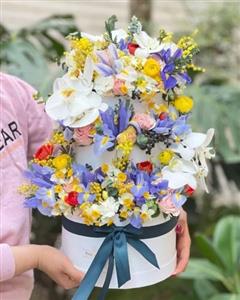 خرید گل ویژه برای روز خواهر را از کجا انجام دهم؟
