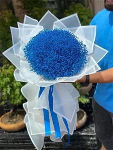 قیمت دسته گل ژیپسوفیلا آبی با ارسال سه ساعته