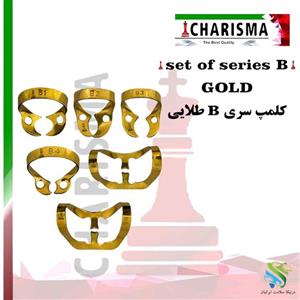 ست کلمپ تیتانیومی طلایی و مشکی مدل b کاریزما
