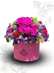 باکس گل ارکیده جلوه های بهاری