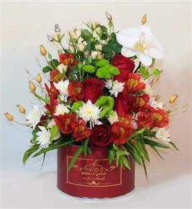 جعبه گل پرنیا