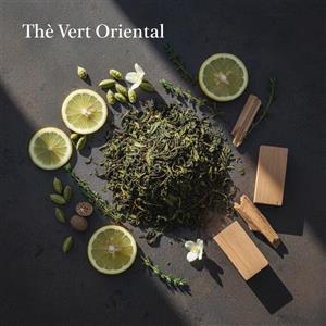 رایحه دستگاه خوشبو کننده(the vert oriental) نقدی