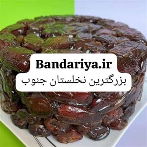 خرمای مخصوص بندریا یک کیلو درجه 1
