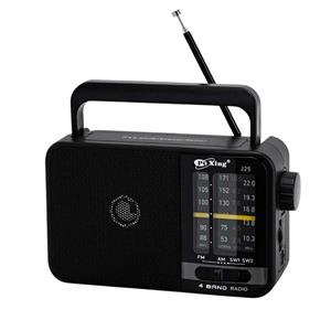 رادیو FM، AM مدل 25B دارای پورت USB