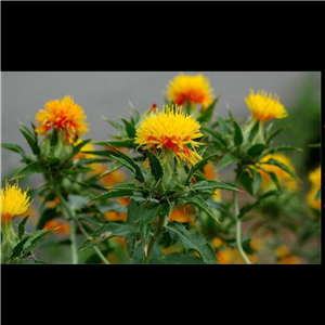 روغن گلرنگ 30 سی سی 