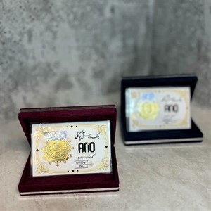 سکه پارسیان (آریوگلد) 450 سوت 18 عیار( ارسال رایگان)