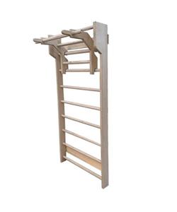 نردبان سوئدی با پارالل و بارفیکس متحرک