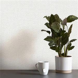 کاغذ دیواری طرح جودون کرم روشن کربن 1 کد 10062 (پس کرایه)