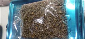 چایی سبز ارگانیک خش عطر و طعم ۲۰۰ گرمی