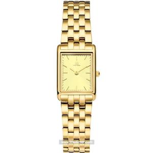 ساعت مچی دنیش دیزاین مدل IV96Q1299