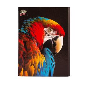 کلاسور سلفونی طوطی 20 حلقه L3060 