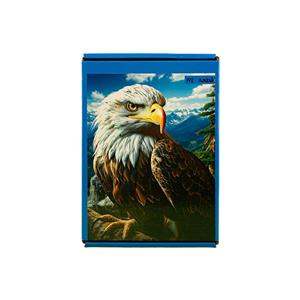 پازل 192 قطعه عقاب B6039