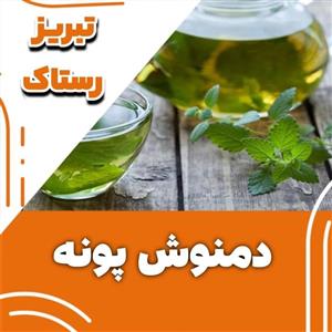 دمنوش پونه تبریز رستاک (100گرمی)