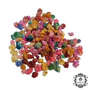 گل های توپکی رنگی