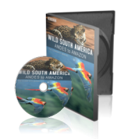 مستند حیات وحش آمریکای جنوبی